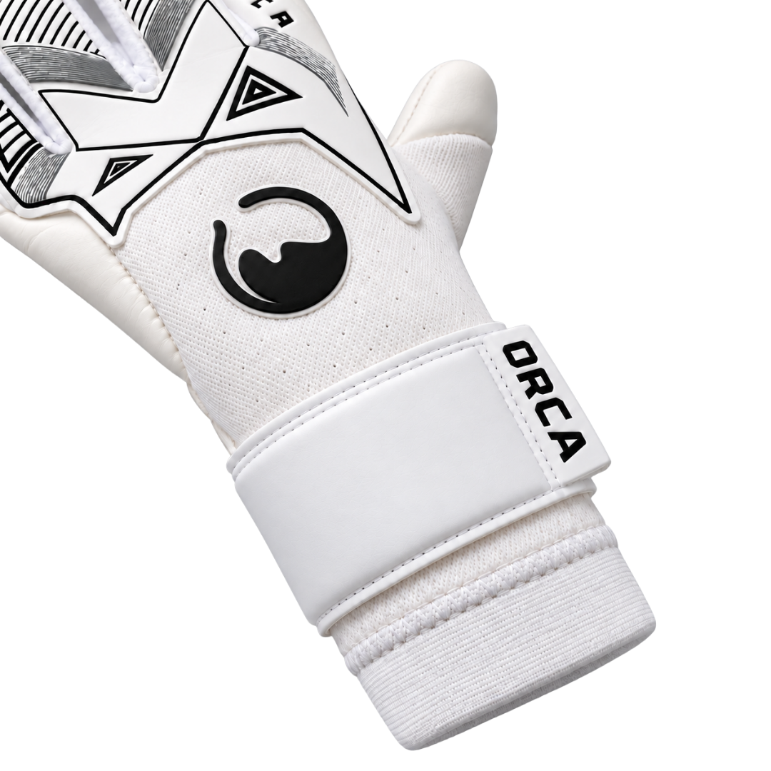 POLAR (Junior)