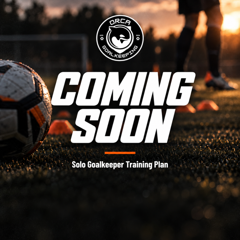 Solo Goalkeeper Training